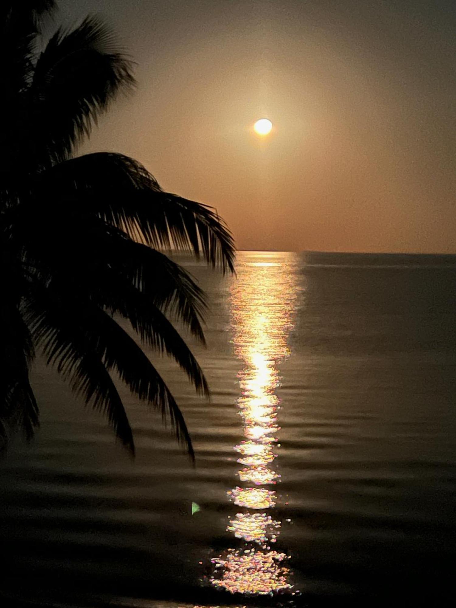 Bella Sway Belize Villa Maya Beach ภายนอก รูปภาพ